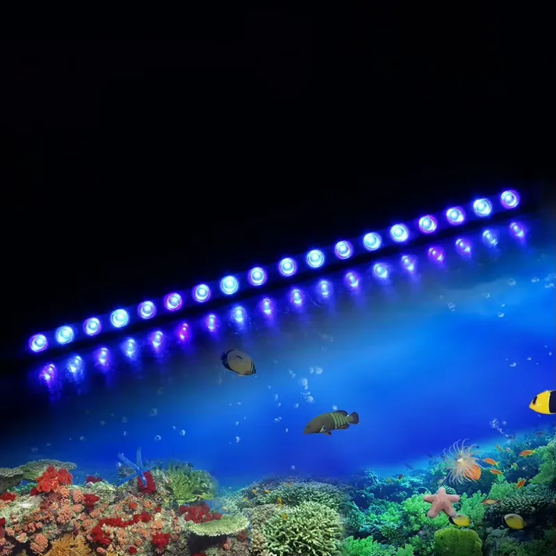 Marine Aquarium Hours - Ściemnialna lampa LED do akwarium morskiego
