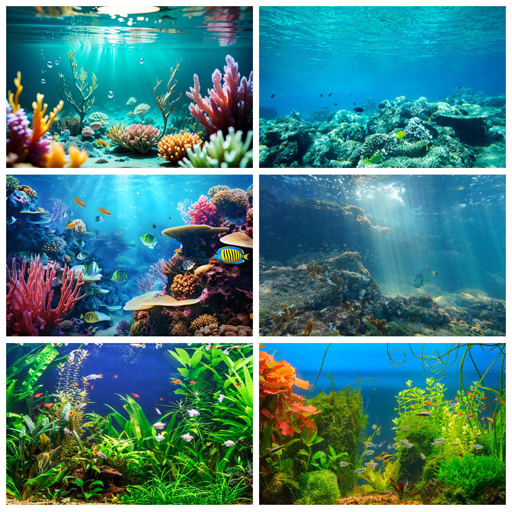 Aquarium Marine World - Tło fotograficzne podwodny świat dno morskie