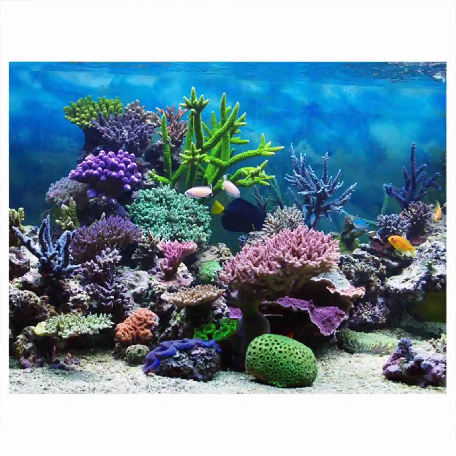 Marine Aquarium Glue - 3D plakat krajobraz akwarium las deszczowy