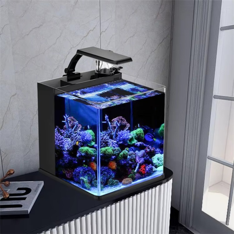 Ultra przezroczysty szklany mi – Marine Aquarium Cube recenzja i cena