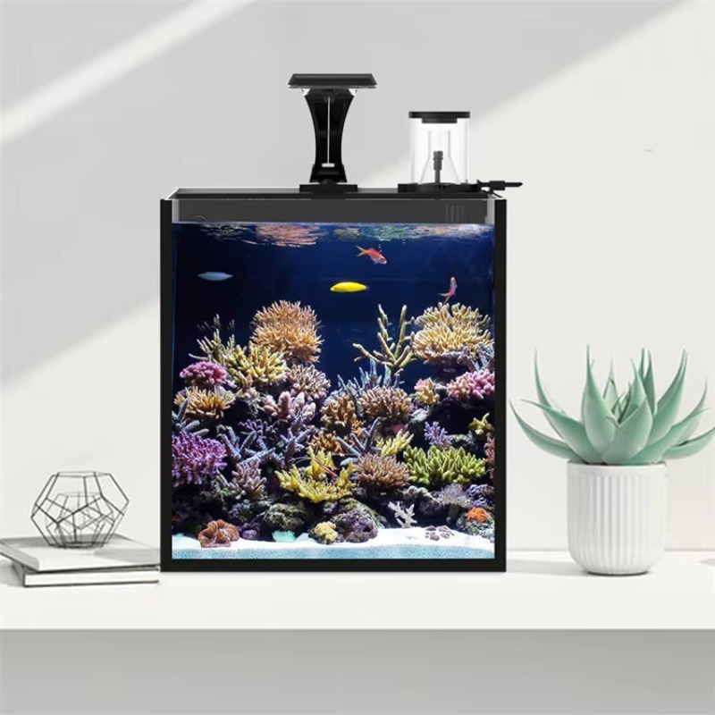 Ultra przezroczysty szklany mi – Marine Aquarium Cube recenzja i cena