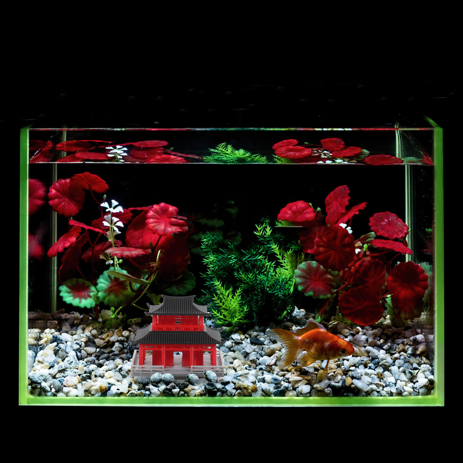 Chiński, starożytny pawilon, c – Aquarium & Marine Museum Universiti Malaysia Sabah Kota Kinabalu Sabah recenzja i cena
