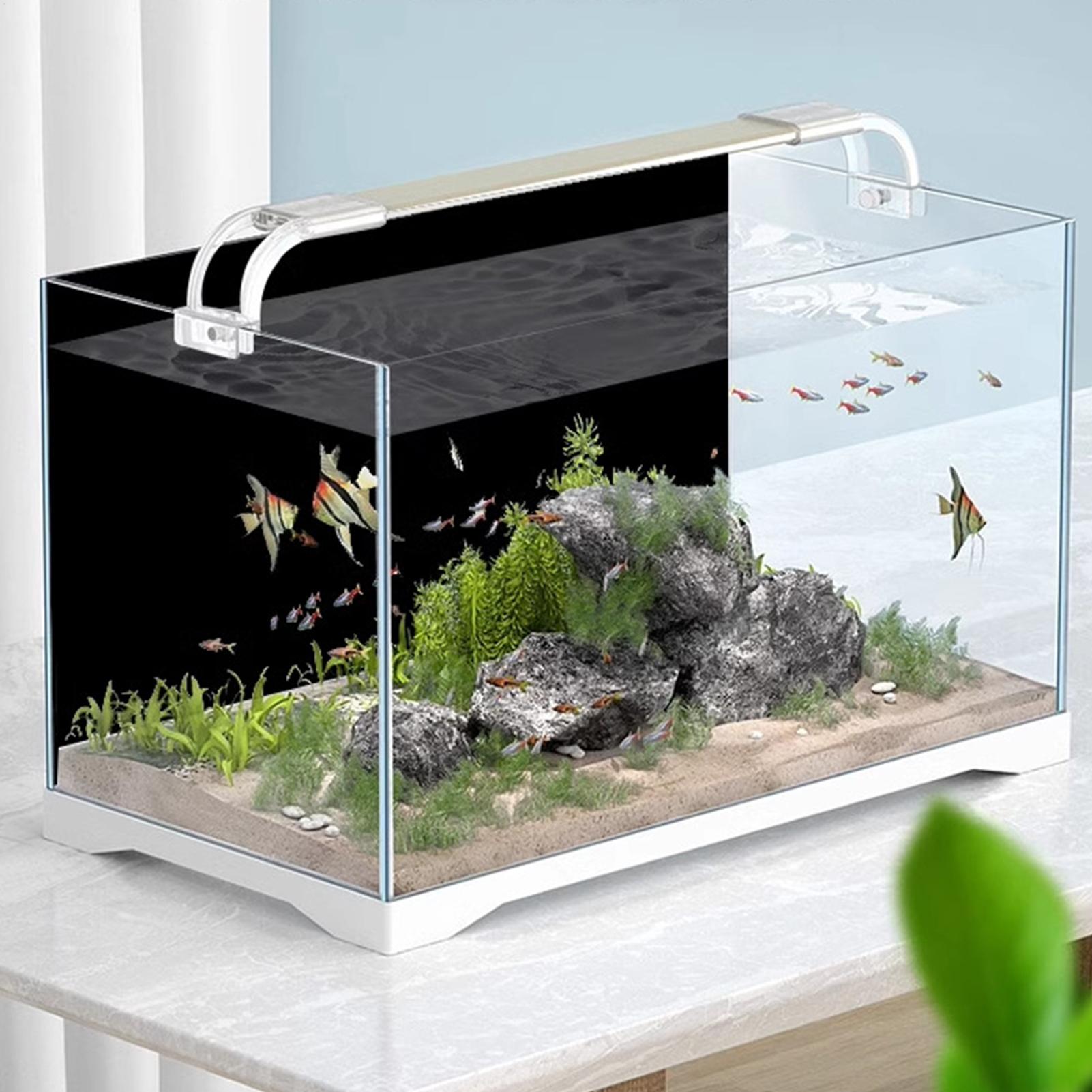 Naklejka na tło akwarium, czar – Marine Aquarium Glue recenzja i cena