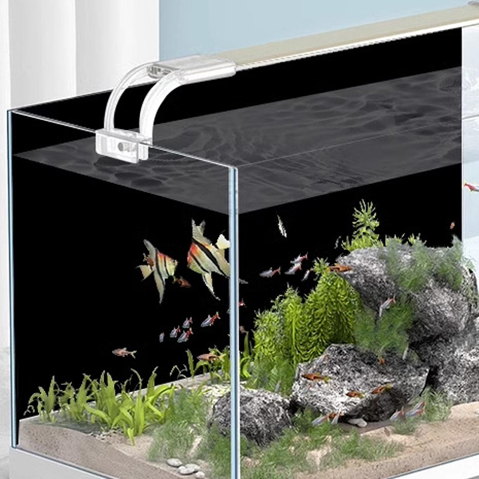Naklejka na tło akwarium, czar – Marine Aquarium Glue recenzja i cena