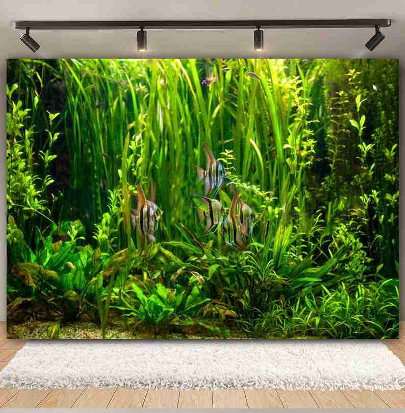 Pod morzem dno morskie świat f – Aquarium Marine World recenzja i cena