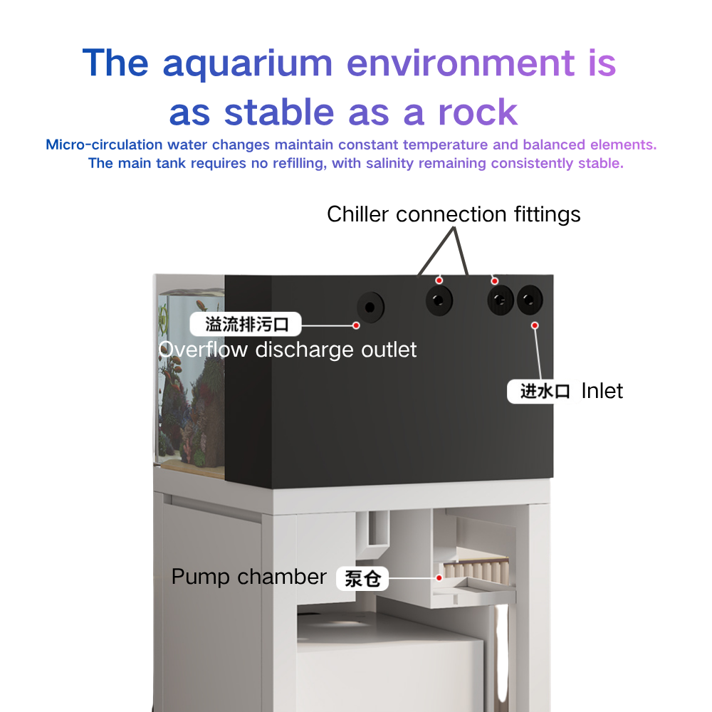 Inteligentne akwarium Paopaosh – Marine Aquarium Cube recenzja i cena