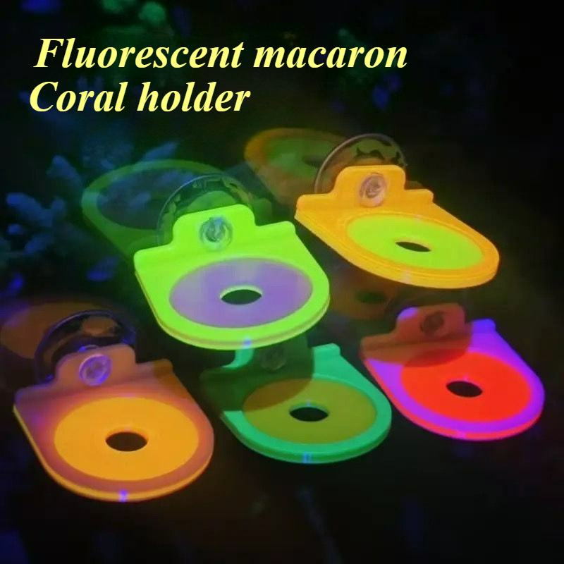 Kolor losowy koralowy uchwyt n – Aquarium Marine Color recenzja i cena