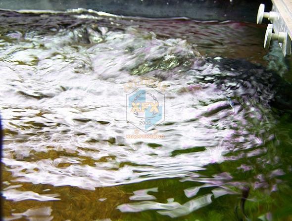 Pompa falująca Sunsun JVP-200, – Aquarium Marine Color recenzja i cena