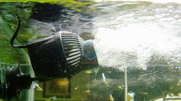 Pompa falująca Sunsun JVP-200, – Aquarium Marine Color recenzja i cena
