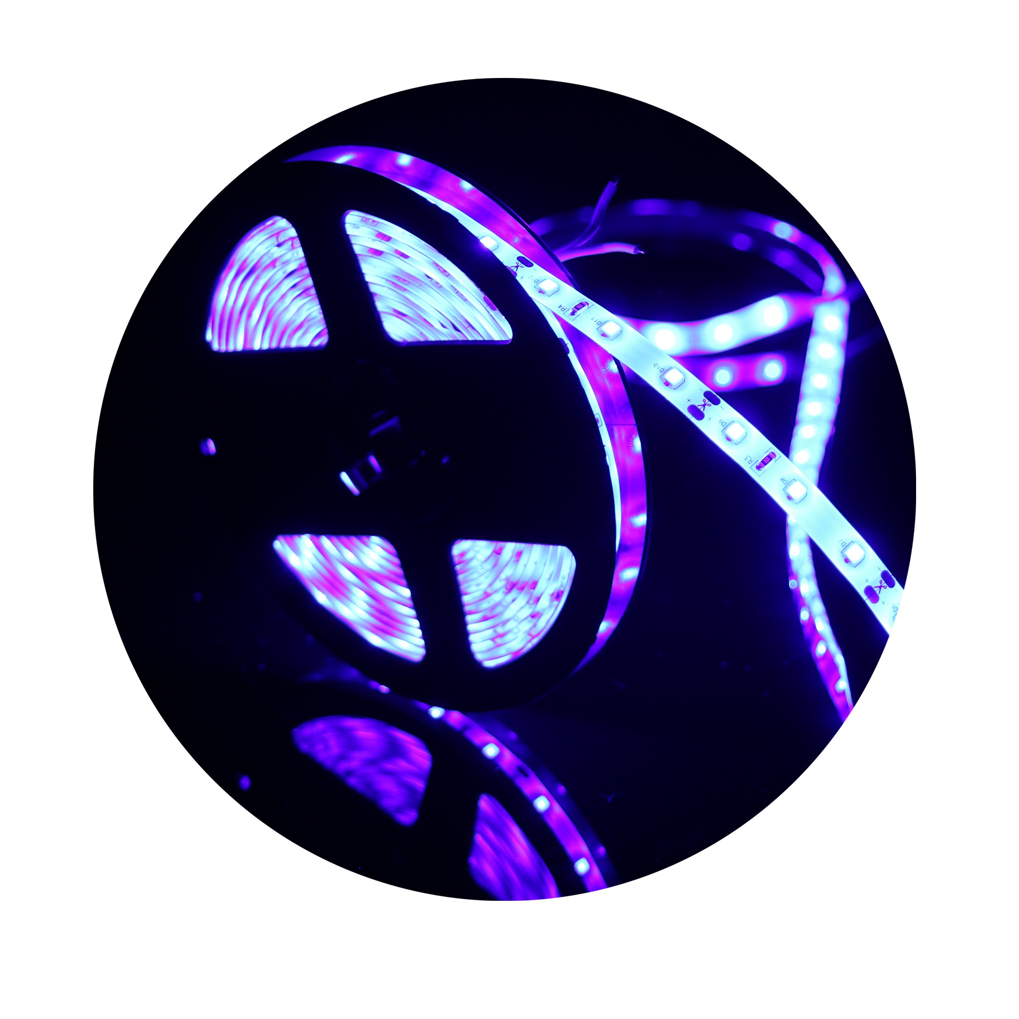 Taśma LED 5M, chip emitujący b – Actinic Blue Led recenzja i cena