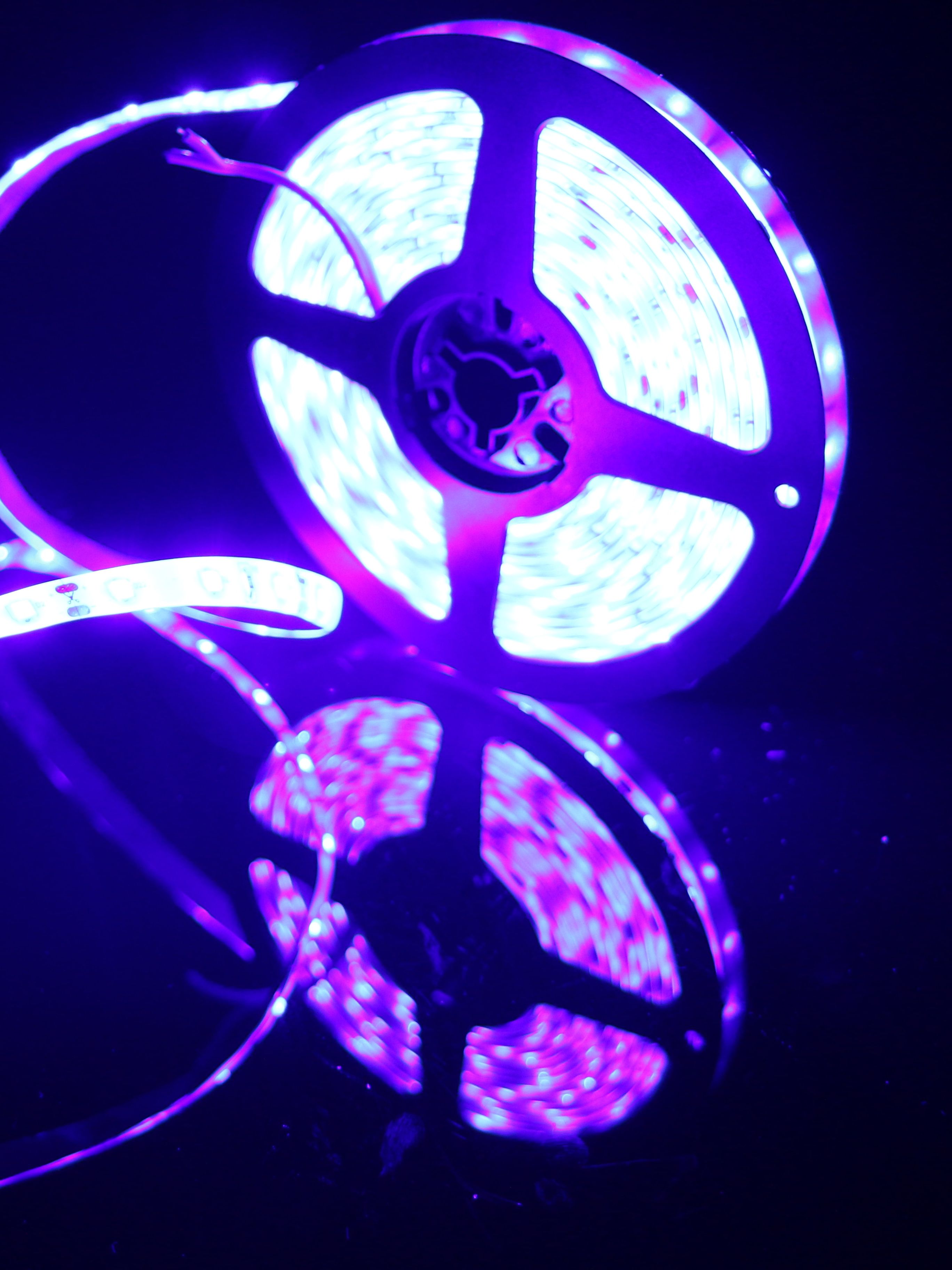 Taśma LED 5M, chip emitujący b – Actinic Blue Led recenzja i cena